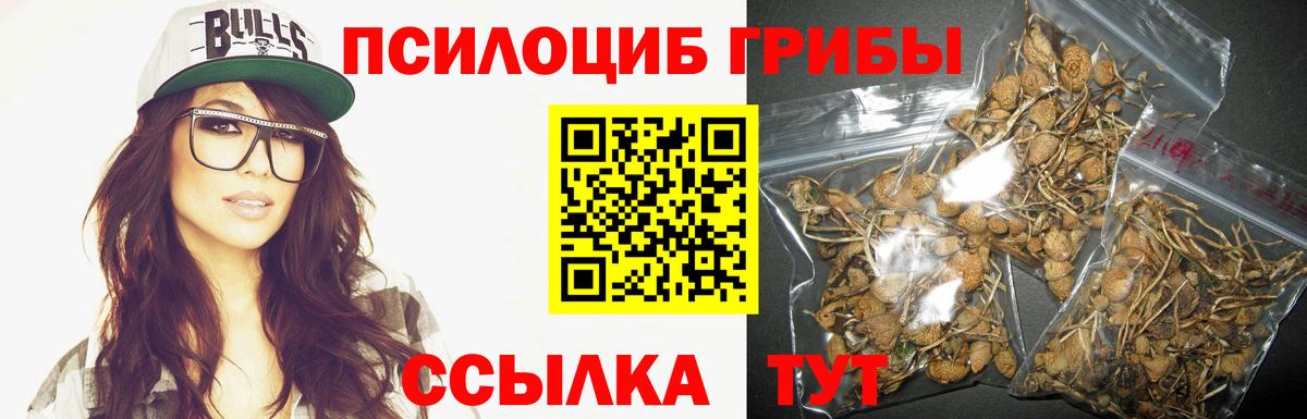 Железноводск  Галлюциногенные грибы Psilocybine cubensis  Вход с VPN 